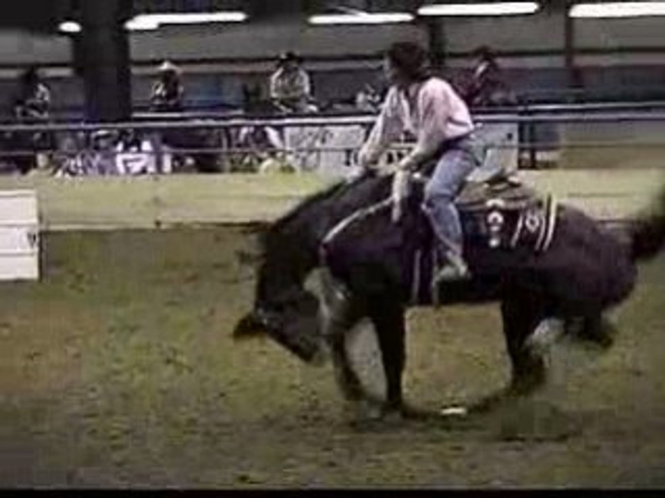 Untamed & Uncut - Horse Flips for Rider