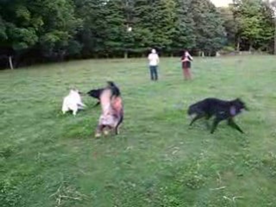Au jeu!