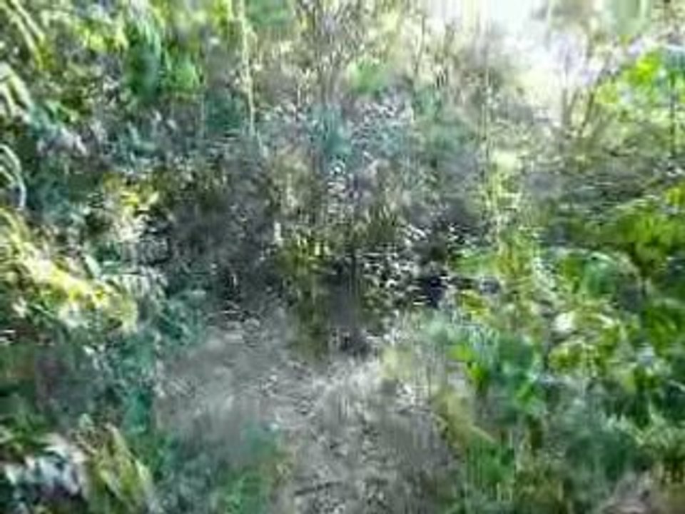 Sentier autour du Pic Paradis