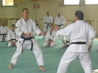 tai jitsu no kata sandan.
