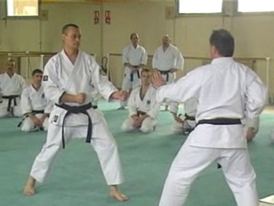 tai jitsu no kata sandan.