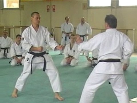 tai jitsu no kata sandan.
