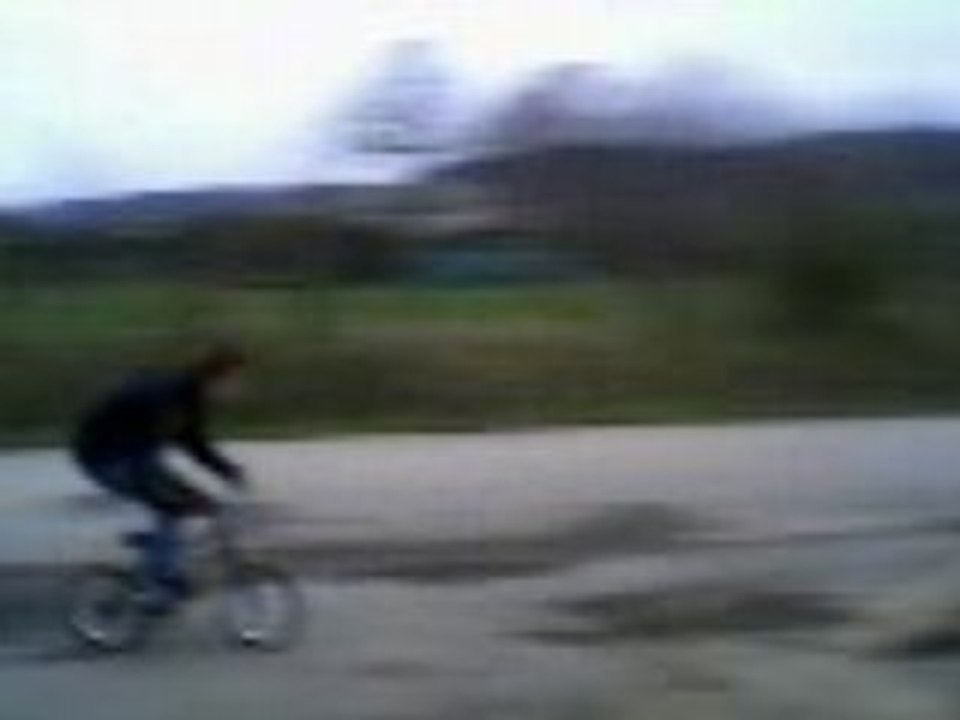 Jackass legouray
