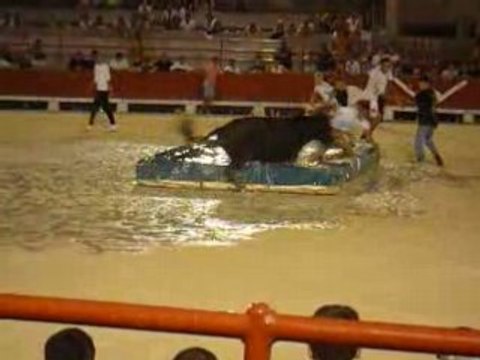 toro piscine bokr