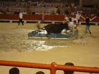 toro piscine bokr