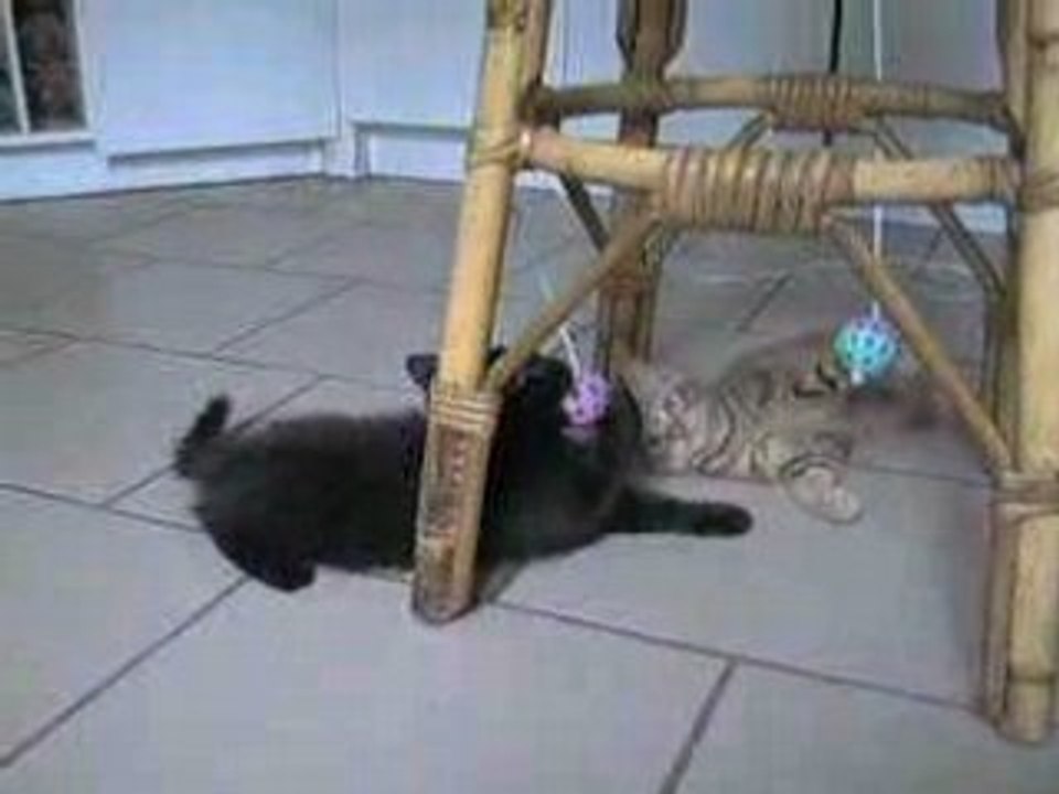 Jeux de boule
