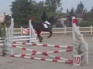 Anco Fan Fjildsicht frison