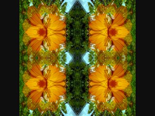 VR 2008-chant'al'ette_les fleurs d'été &...