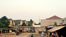International pigeon racing competition