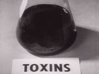 What You Should Know About Biological Warfare (1952)