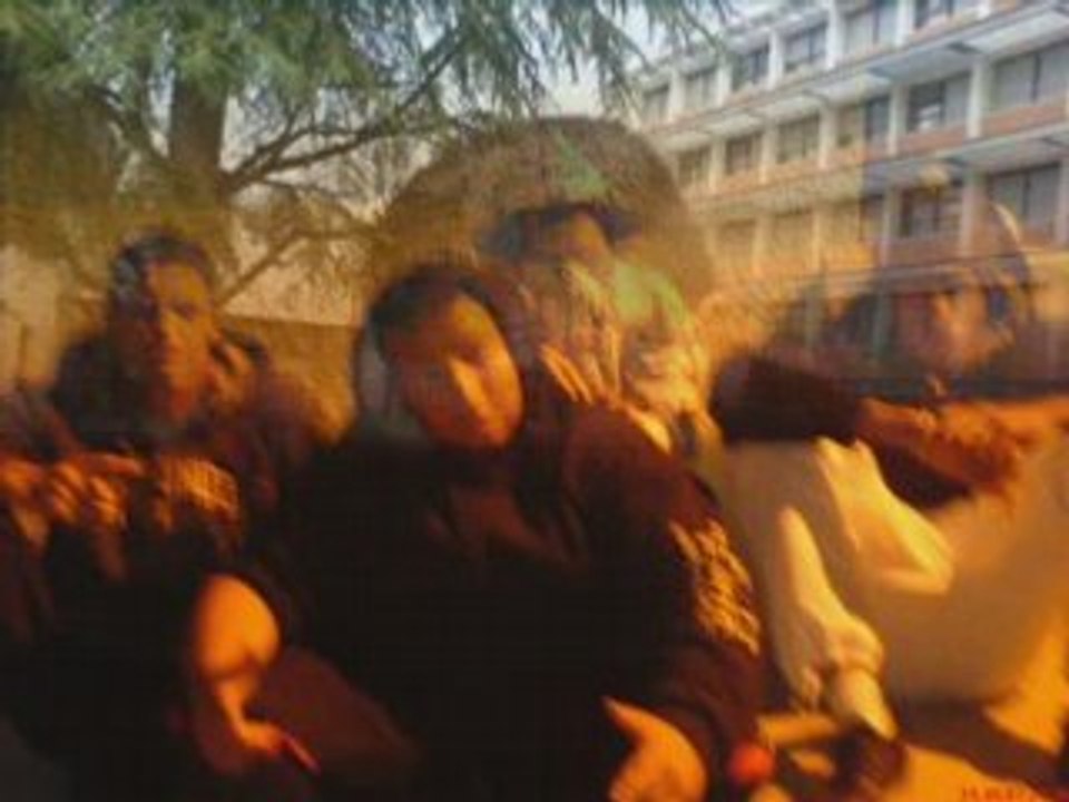 kamelancien le charme de la tristesse