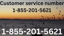 {{{Definitive Master}}™ {[List]} of American airlines® CUSTOMER© SERVICEⓢ Contacts — Complete Service Assistance