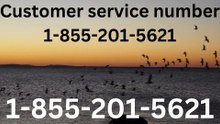 {{{Elite Complete}}™ {[List]} of American airlines® CUSTOMER© SERVICEⓢ Contacts — Priority Assistance & Support