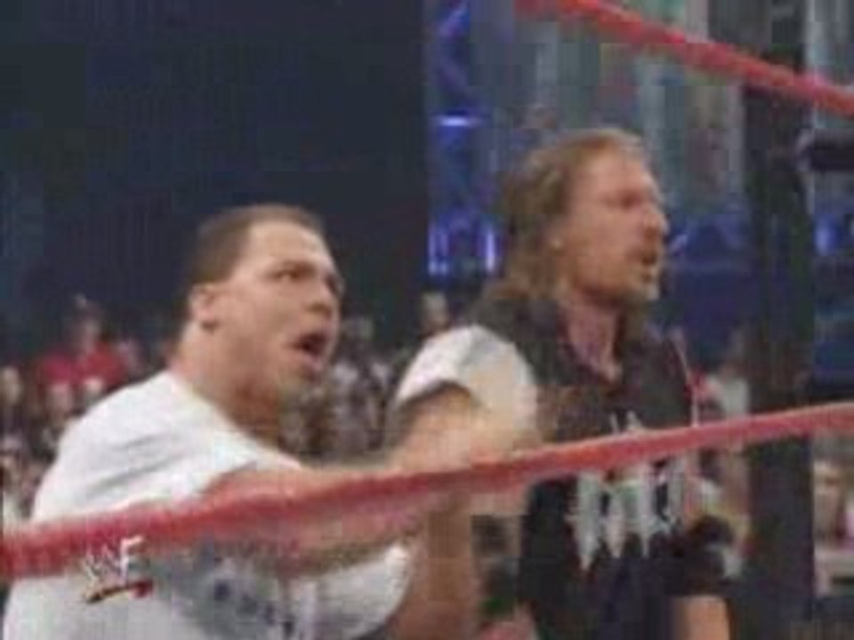 Stephanie McMahon vs lita