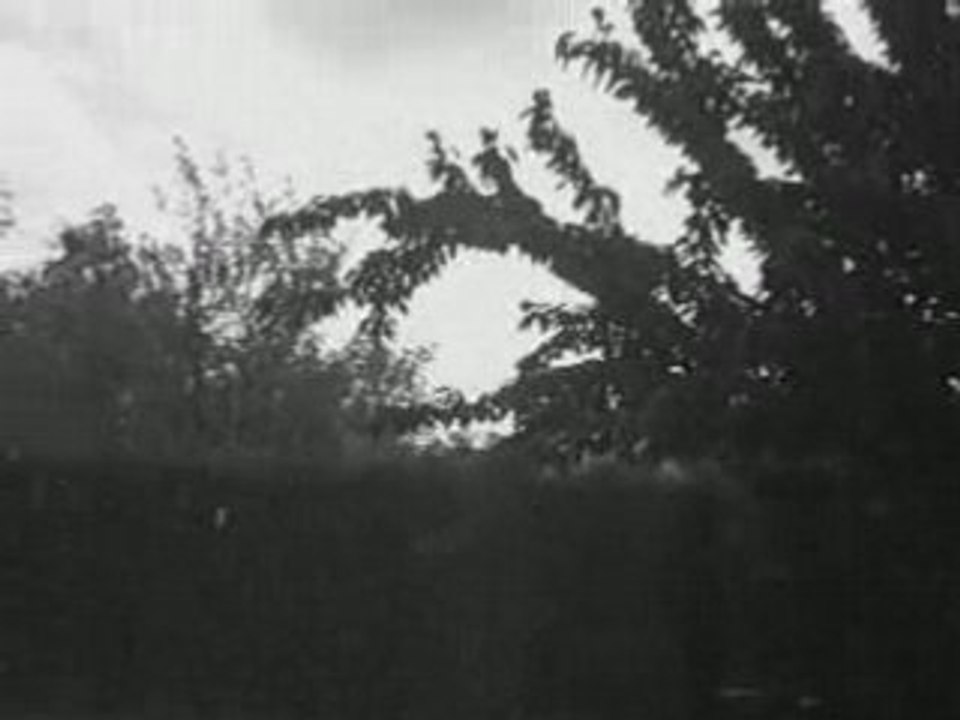 Fantavision