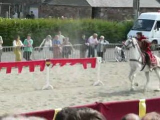 tournoi de chevalerie