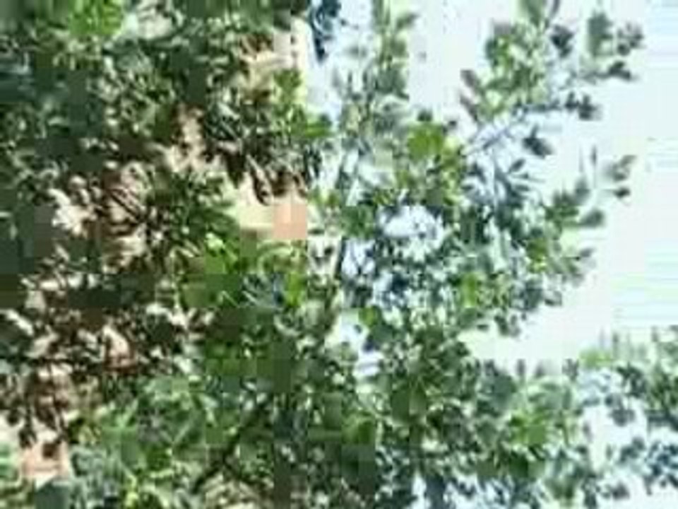 Turm von St. Kilian in Mainz-Kostheim