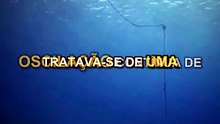 O padrão acústico inexplicável captado na Fossa de Kermadec