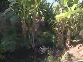 Yves Jégo en Polynésie - juillet 2008