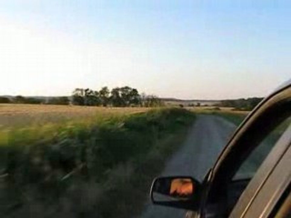 Rally zx