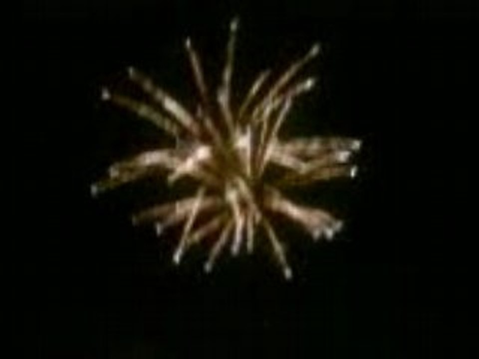 Feu d'artifice 2008