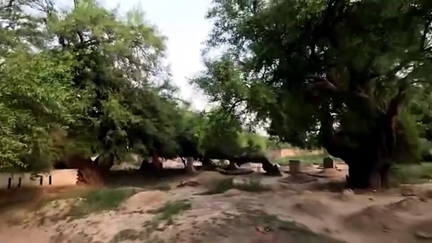 Old graveyard at Harrpa city
