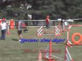 Agility (Open et Degrés de Falck 2008)