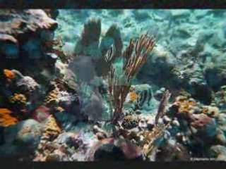 Vacances au bord de la mer