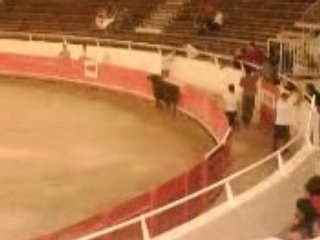 Taureau Piscine au Cap D'agde