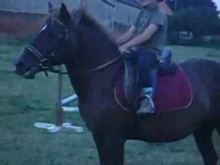 alexandre et carotte