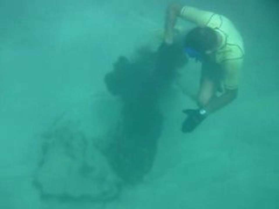 Sculptures sous marines à  Moliniere Point