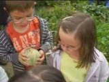 Visite au jardin collectif (1)