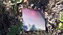 "The Chromatic Resonance" by The Founder Mihaela Pleşca
