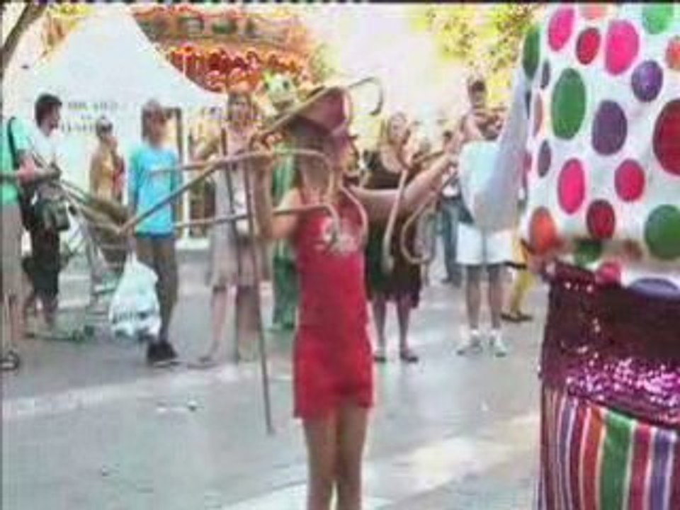 Les cannes AVIGNON