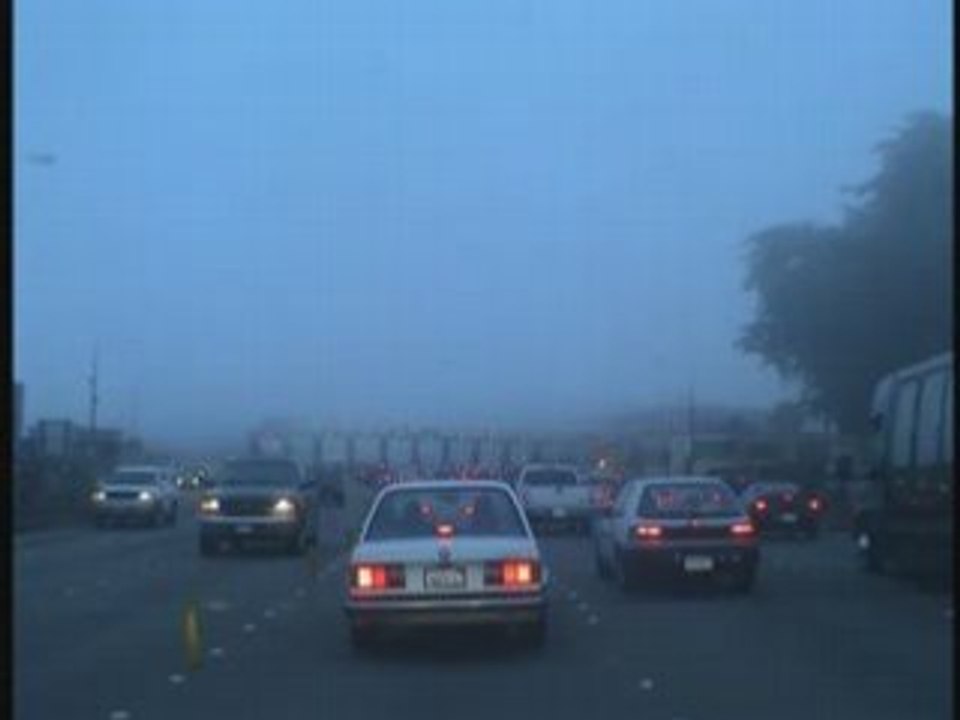 Golden gate