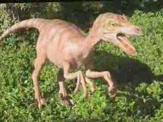 Velociraptor Puppet - Amazing Realism