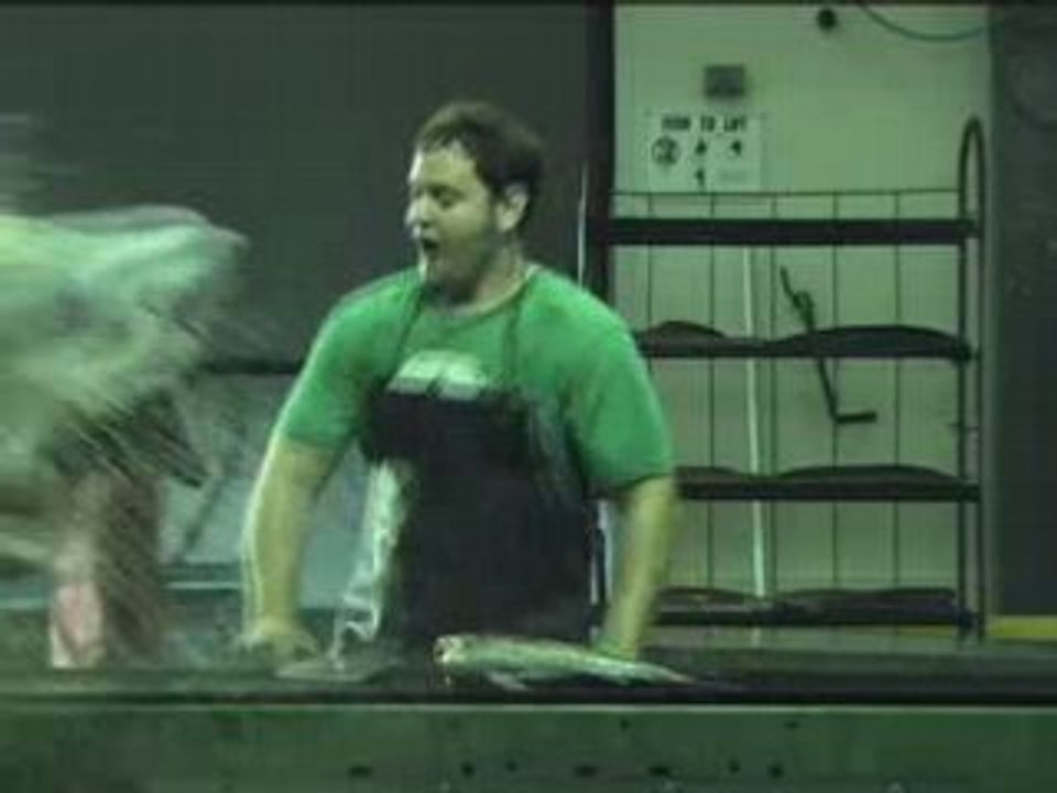 Realistic Shark Puppet Works on a Coors Beer Commercial