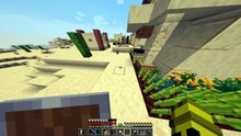 My (Stupid Performance) Video (High Level World): Minecraft
