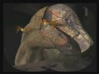 Futuroscope - Les animaux du futur