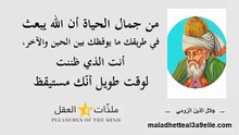 اقتباسات (12)