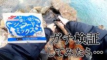 【穴釣り検証】シーフードミックスで魚は釣れる？漁港の穴に落とした瞬間の反応をガチ確認