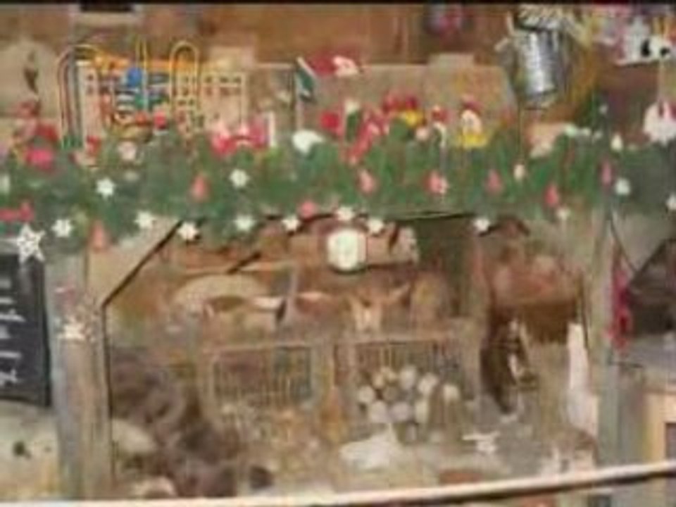 La maison du Pere Noel