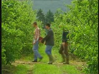 Making of Temps des Souris