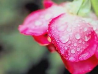 Say ALLAH Is The Only One - Zain Bhikha