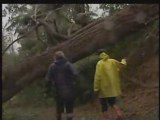 Nuova zelanda: salvataggio estremo post tempesta