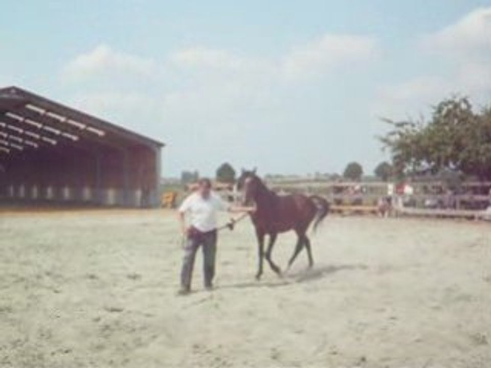 SansTitre,kkk_0002