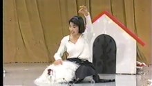 41回32番 いろんな犬