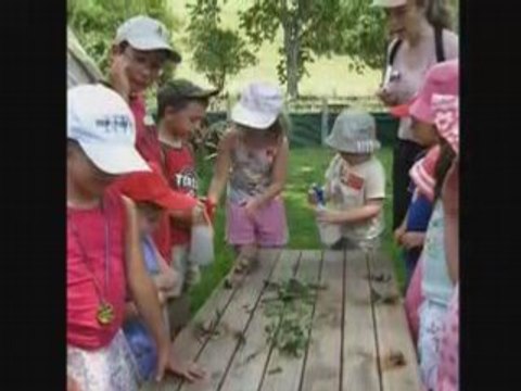 Elevage d'Escargots a Viuz-en- Sallaz