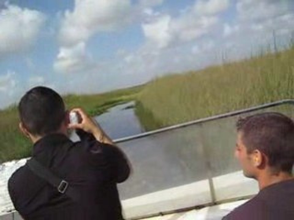 aéroglisseur à miami