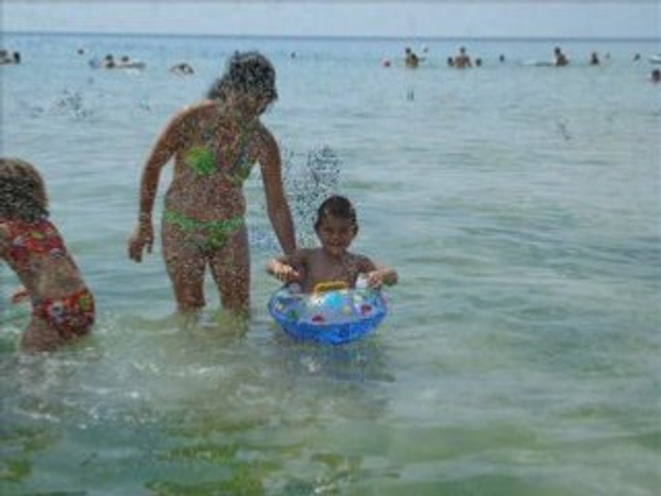 море 2008